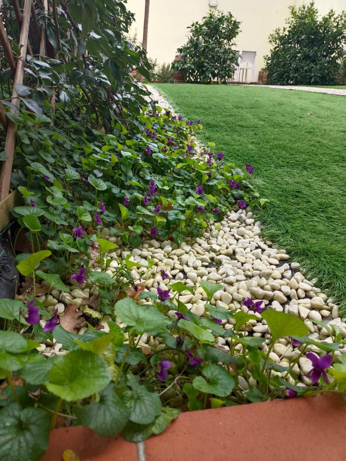 Movie Star Apartment With Garden Florence Buitenkant foto